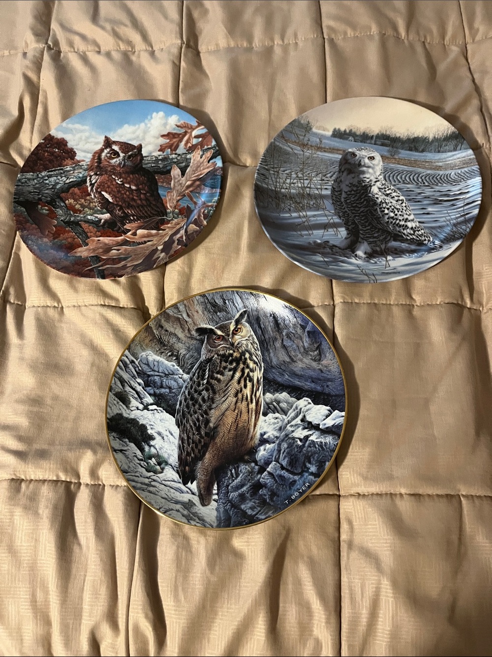 Set of Three Owl Art Plates in Brown and Neutral Tones